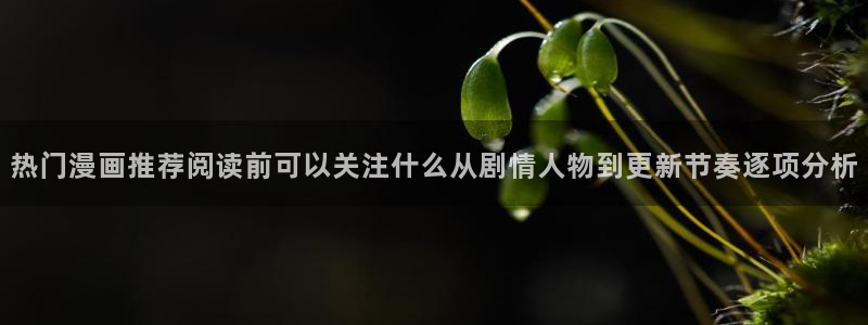 梦漫漫画精品漫画：热门漫画推荐阅读前可以关注什么从剧情人物到更新节奏逐项分析