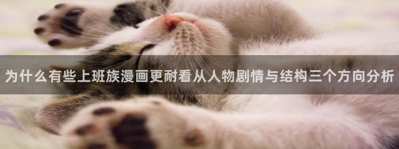 梦漫漫画新作推荐:为什么有些上班族漫画更耐看从人物剧情与结构三个方向分析