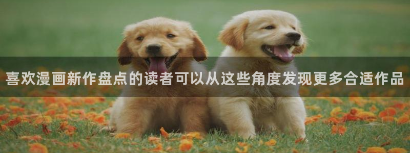 梦漫漫画在线阅读APP:喜欢漫画新作盘点的读者可以从这些角度发现更多合适作品