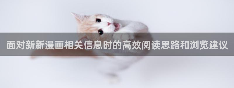 梦漫漫画阅读器推荐